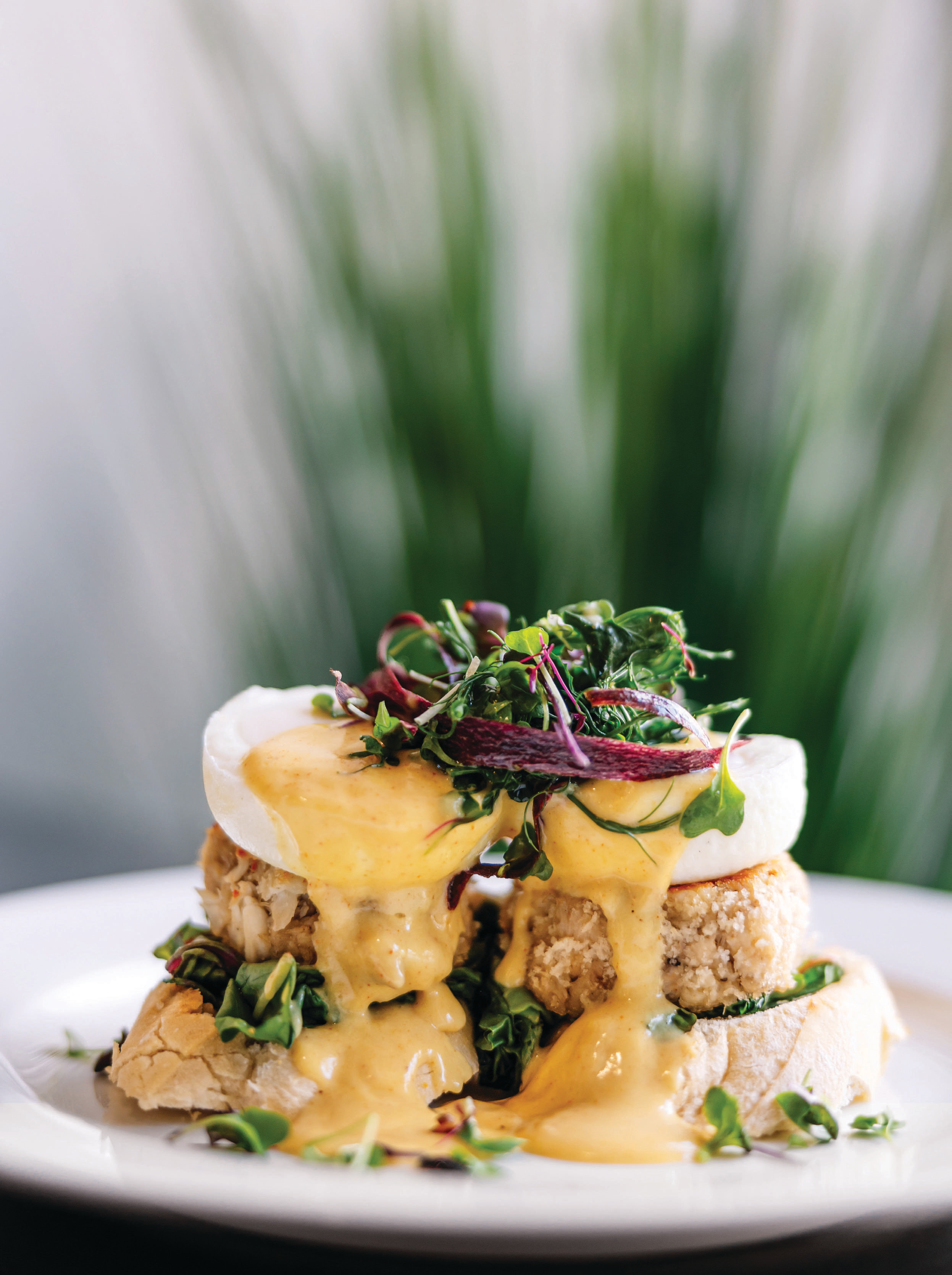 Zollie’s Jazz Cucina reflects the flavors of the Caribbean and the South. For instance, eggs Benedict features crab cakes, collard crisps and creole hollandaise.